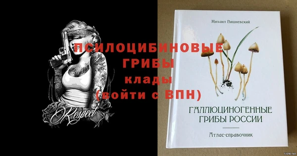 спайс Алексеевка