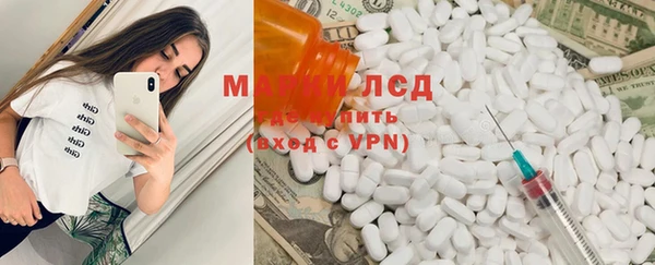 прущие грибы Абаза