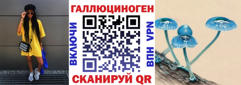 что такое   Оса  Галлюциногенные грибы Psilocybine cubensis 